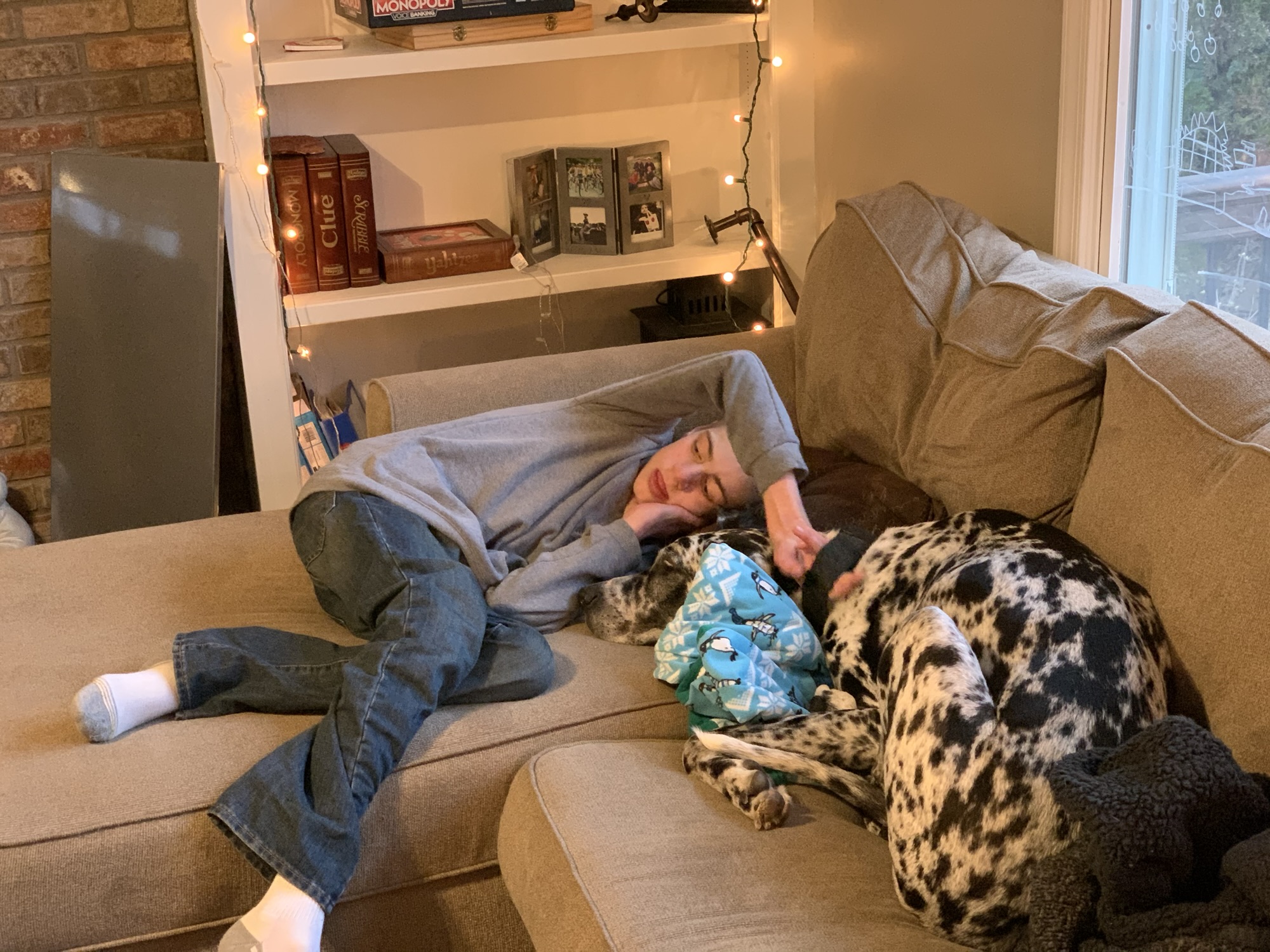 Carter rests on a couch beside a Great Dane.